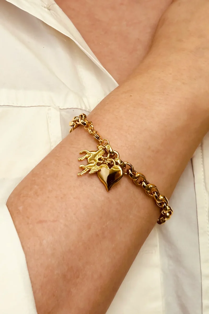 Pulseira correntaria country 3